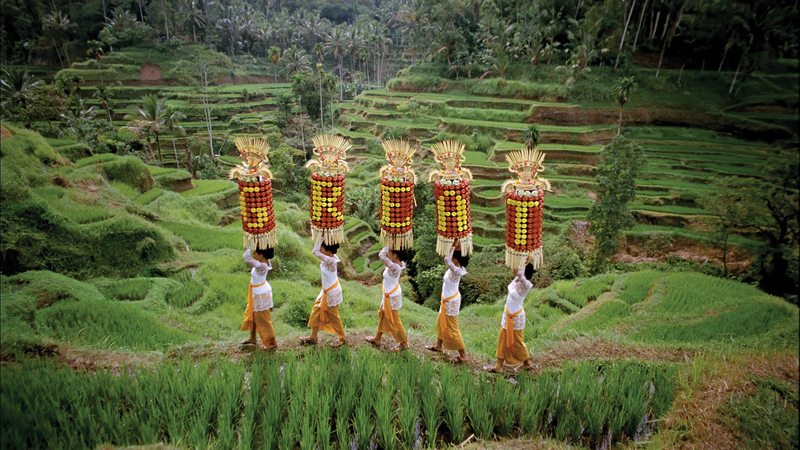 Image gallery